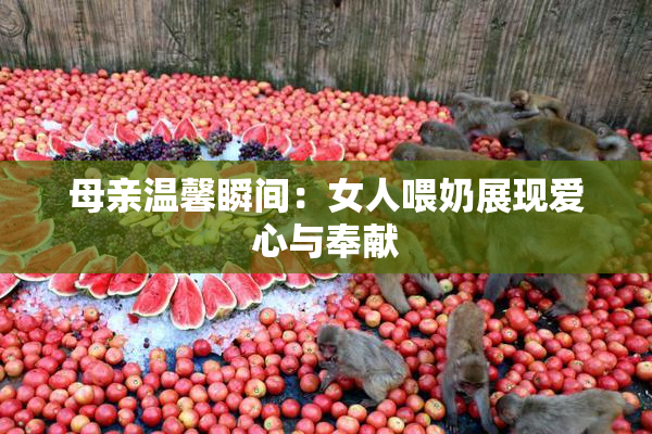 母亲温馨瞬间：女人喂奶展现爱心与奉献