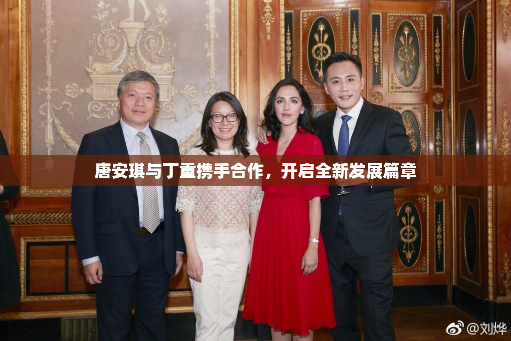唐安琪与丁重携手合作，开启全新发展篇章