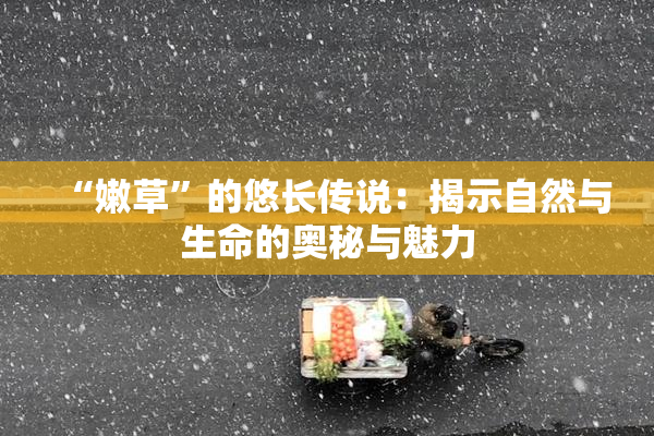 “嫩草”的悠长传说：揭示自然与生命的奥秘与魅力