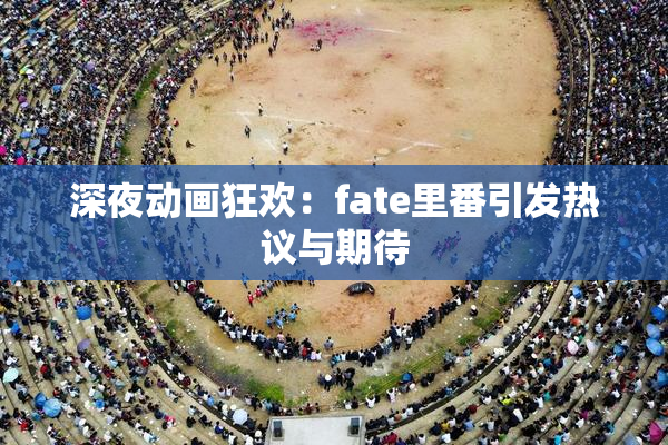 深夜动画狂欢：fate里番引发热议与期待