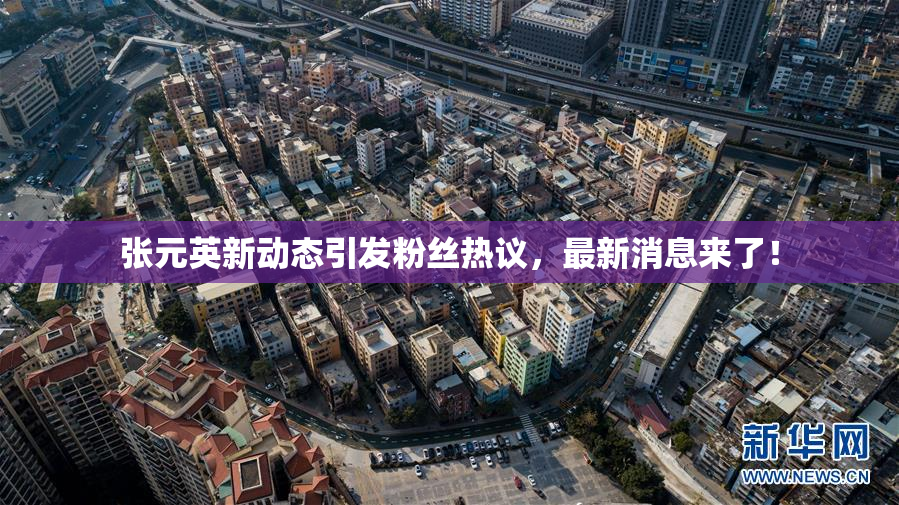 张元英新动态引发粉丝热议，最新消息来了！
