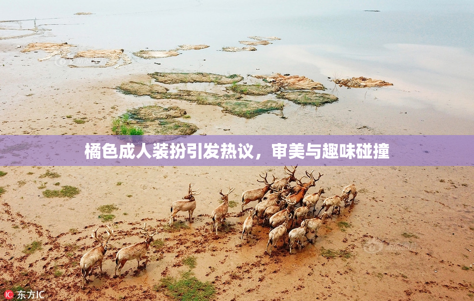 橘色成人装扮引发热议，审美与趣味碰撞