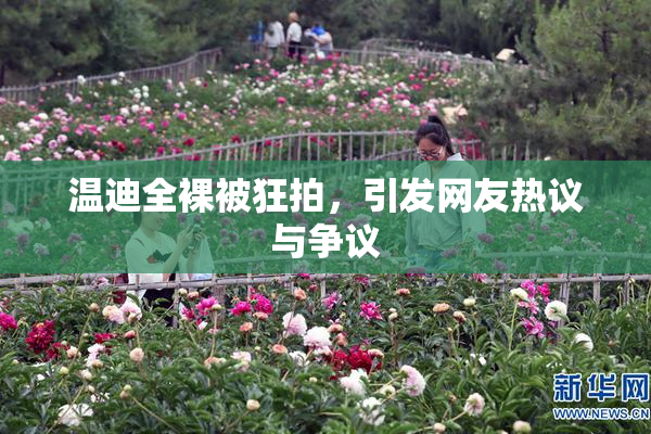 温迪全裸被狂拍，引发网友热议与争议