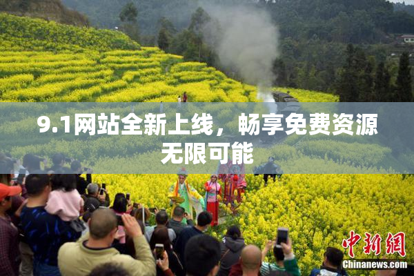 9.1网站全新上线，畅享免费资源无限可能