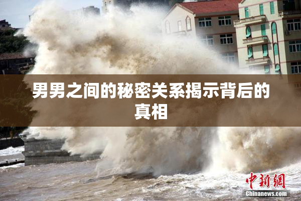 男男之间的秘密关系揭示背后的真相