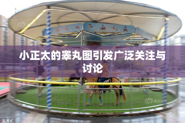 小正太的睾丸图引发广泛关注与讨论