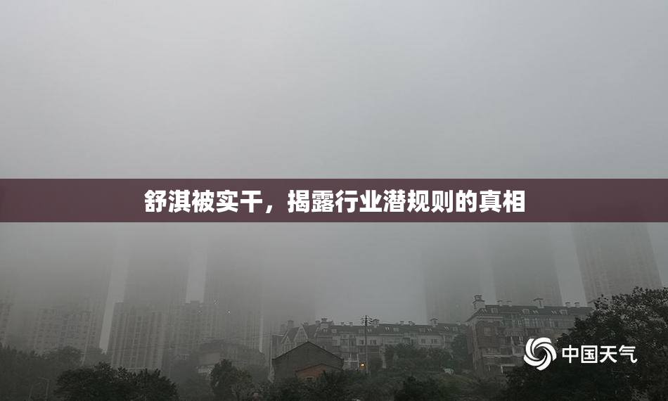 舒淇被实干，揭露行业潜规则的真相