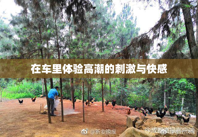 在车里体验高潮的刺激与快感