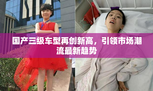 国产三级车型再创新高，引领市场潮流最新趋势