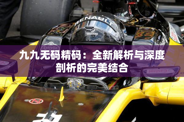 九九无码精码：全新解析与深度剖析的完美结合