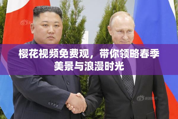 樱花视频免费观，带你领略春季美景与浪漫时光