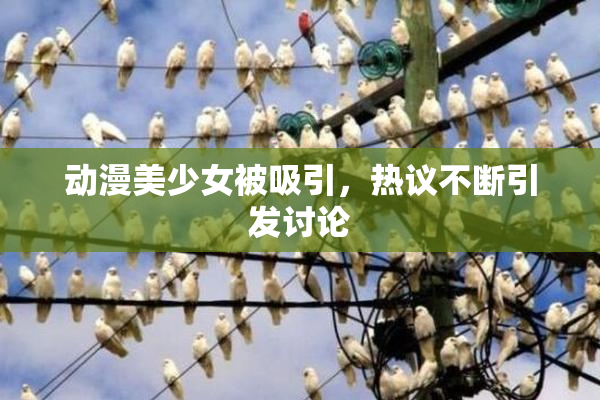 动漫美少女被吸引，热议不断引发讨论