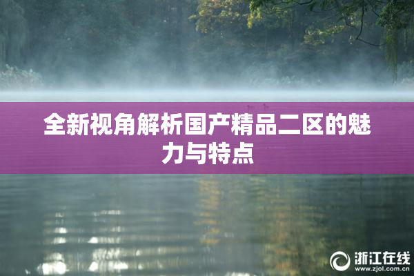 全新视角解析国产精品二区的魅力与特点