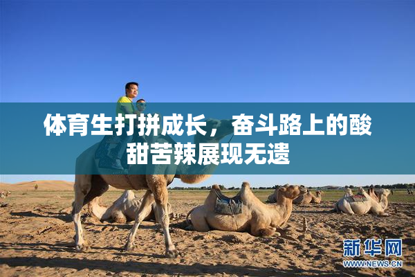 体育生打拼成长，奋斗路上的酸甜苦辣展现无遗