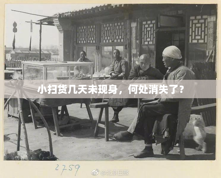 小扫货几天未现身，何处消失了？