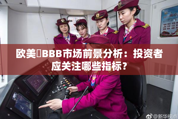 欧美槡BBB市场前景分析：投资者应关注哪些指标？