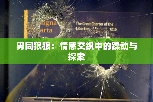 男同狼狼：情感交织中的躁动与探索