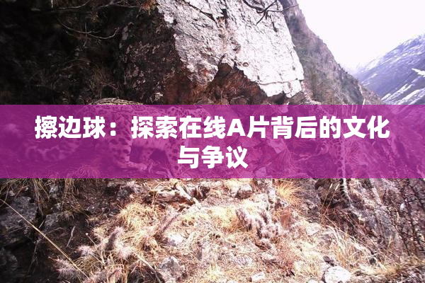 擦边球：探索在线A片背后的文化与争议