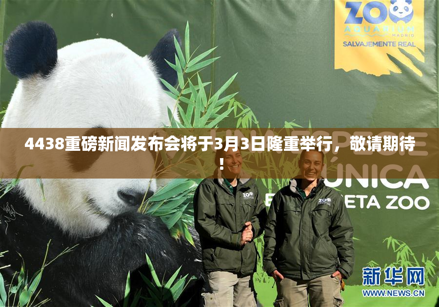 4438重磅新闻发布会将于3月3日隆重举行，敬请期待！