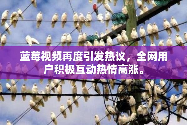 蓝莓视频再度引发热议，全网用户积极互动热情高涨。