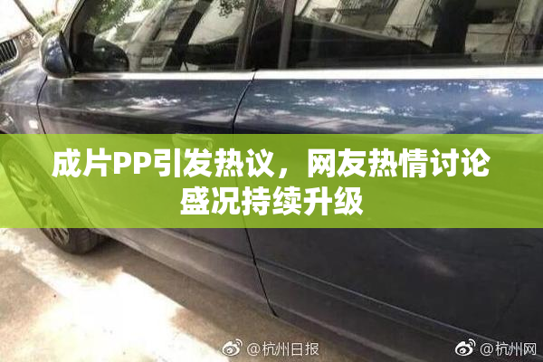 成片PP引发热议，网友热情讨论盛况持续升级