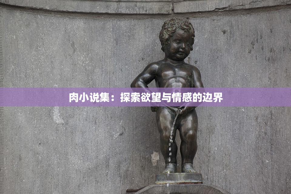 肉小说集：探索欲望与情感的边界