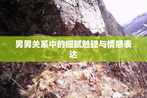 男男关系中的细腻触碰与情感表达