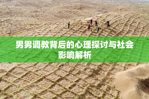 男男调教背后的心理探讨与社会影响解析