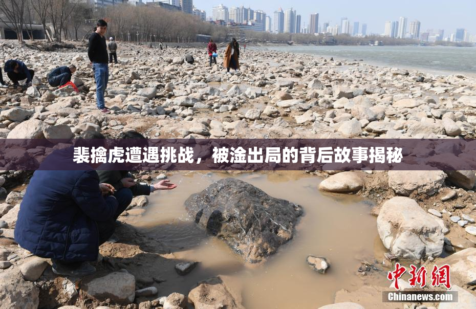 裴擒虎遭遇挑战，被淦出局的背后故事揭秘