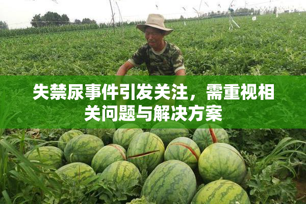 失禁尿事件引发关注，需重视相关问题与解决方案