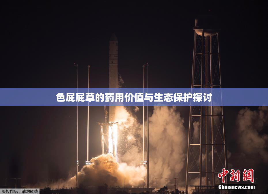 色屁屁草的药用价值与生态保护探讨