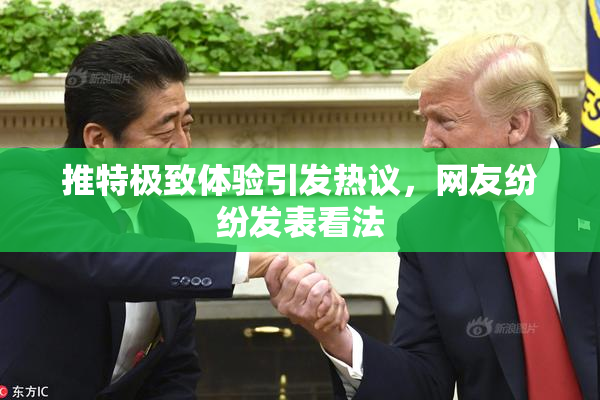 推特极致体验引发热议，网友纷纷发表看法