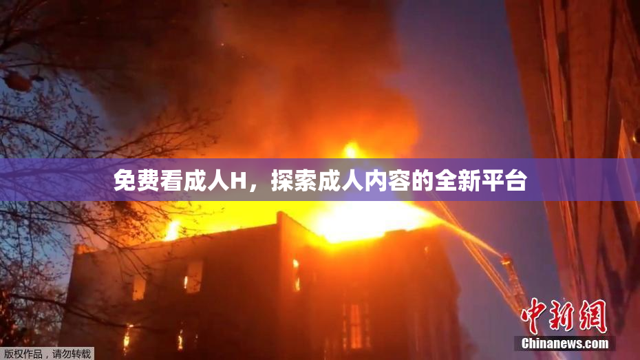 免费看成人H，探索成人内容的全新平台