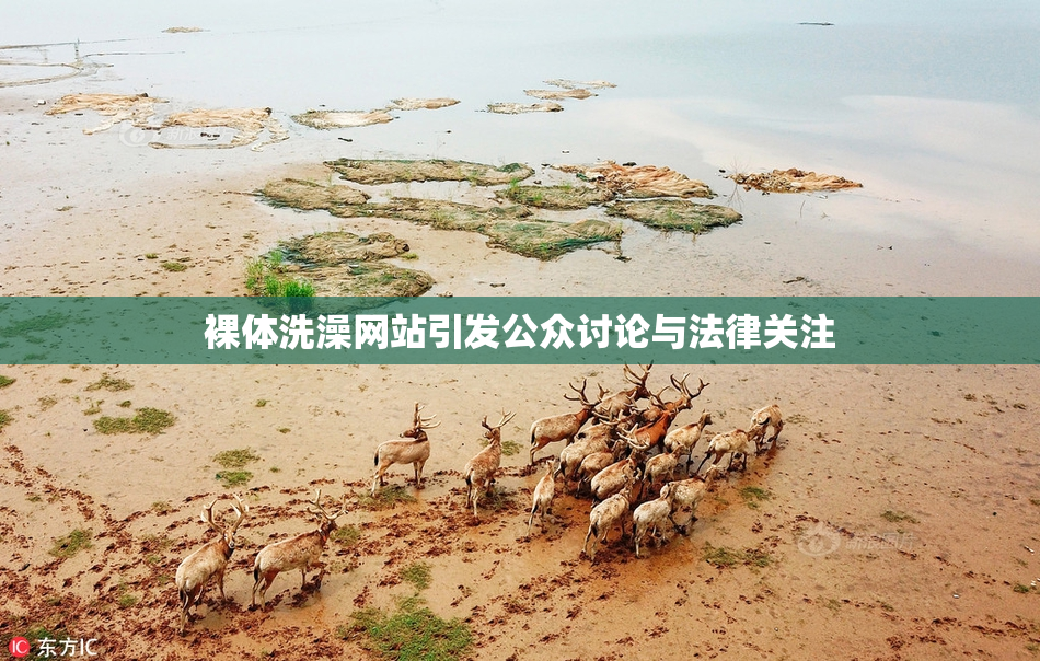 裸体洗澡网站引发公众讨论与法律关注