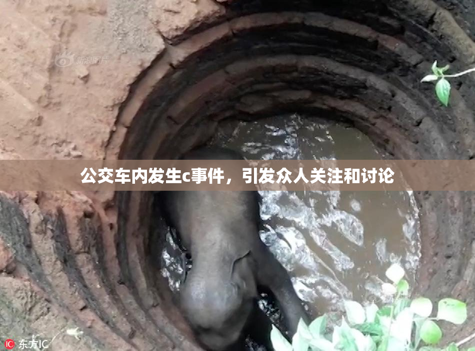 公交车内发生c事件，引发众人关注和讨论