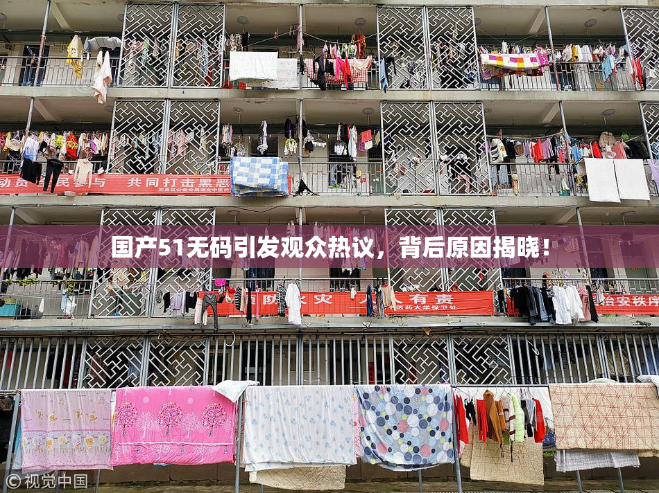 国产51无码引发观众热议，背后原因揭晓！