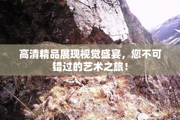 高清精品展现视觉盛宴，您不可错过的艺术之旅！