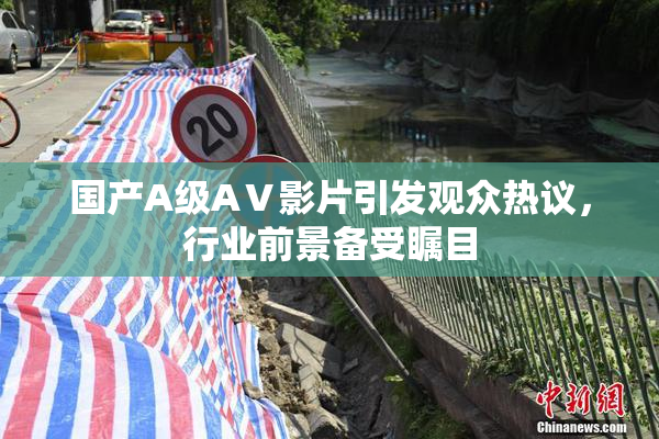 国产A级AⅤ影片引发观众热议，行业前景备受瞩目