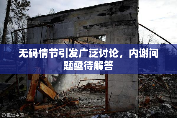无码情节引发广泛讨论，内谢问题亟待解答