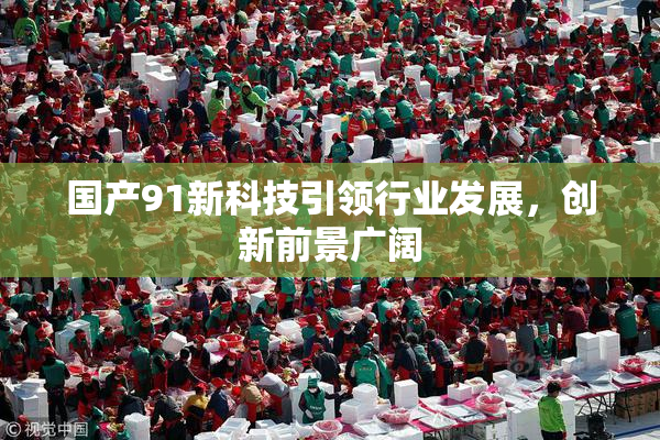 国产91新科技引领行业发展，创新前景广阔