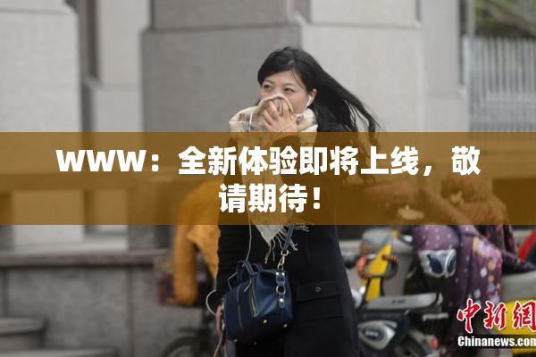 WWW：全新体验即将上线，敬请期待！