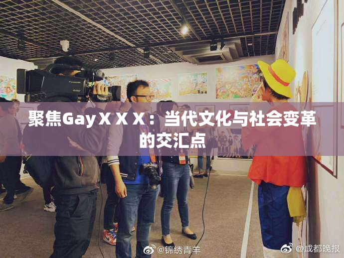 聚焦GayⅩⅩⅩ：当代文化与社会变革的交汇点