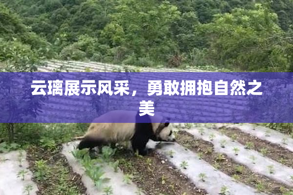 云璃展示风采，勇敢拥抱自然之美