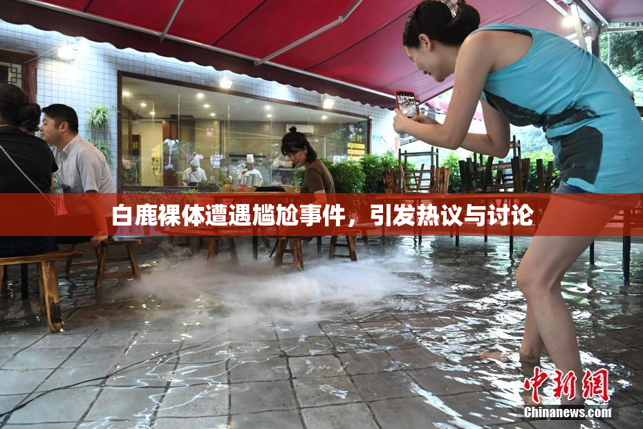 白鹿裸体遭遇尴尬事件，引发热议与讨论