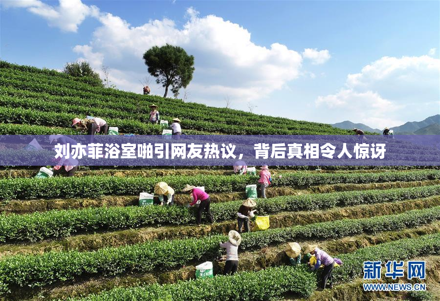 刘亦菲浴室啪引网友热议，背后真相令人惊讶