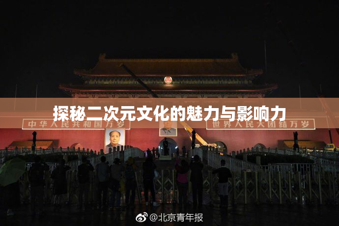 探秘二次元文化的魅力与影响力