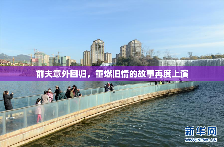 前夫意外回归，重燃旧情的故事再度上演