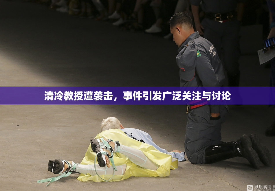 清冷教授遭袭击，事件引发广泛关注与讨论