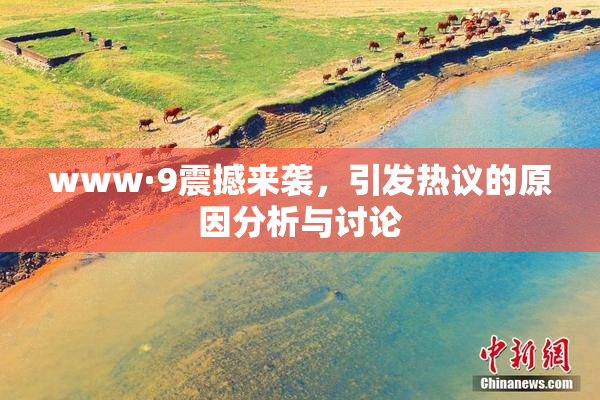 www·9震撼来袭，引发热议的原因分析与讨论