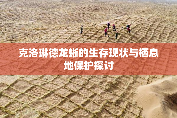 克洛琳德龙蜥的生存现状与栖息地保护探讨